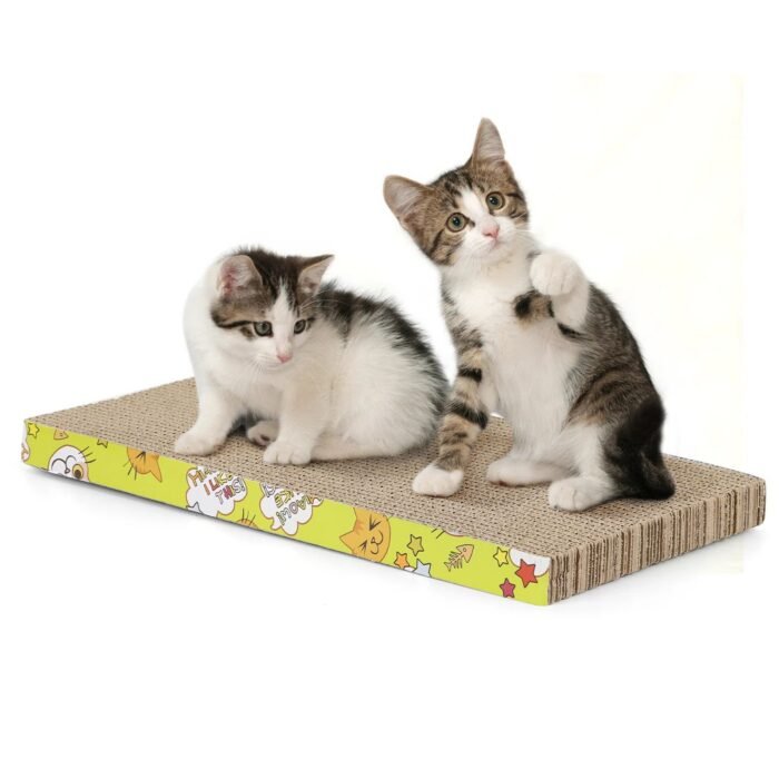 Rascador de Cartón Pequeño