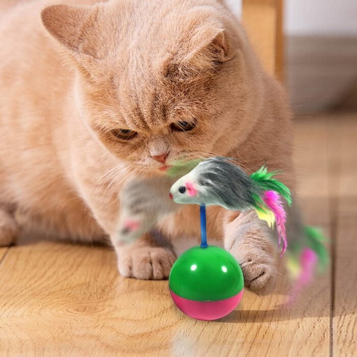 Bola de Juguete para gatos