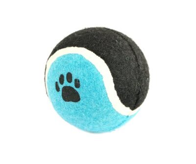 Pelota de tenis para perro