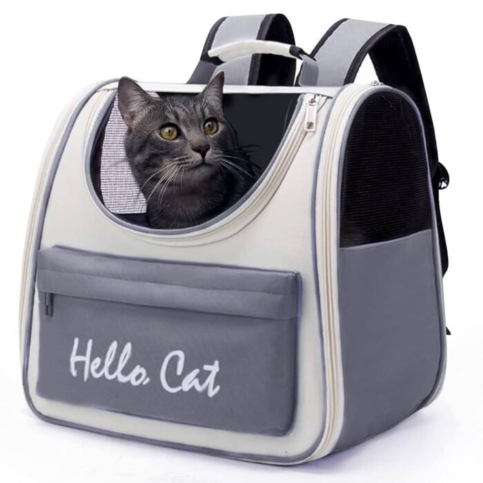 Mochi Transportadora