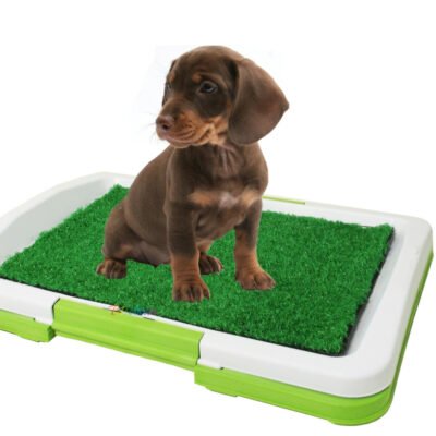 Pasto Sintético Sanitario