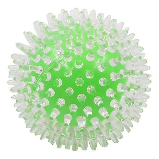 Pelota erizo