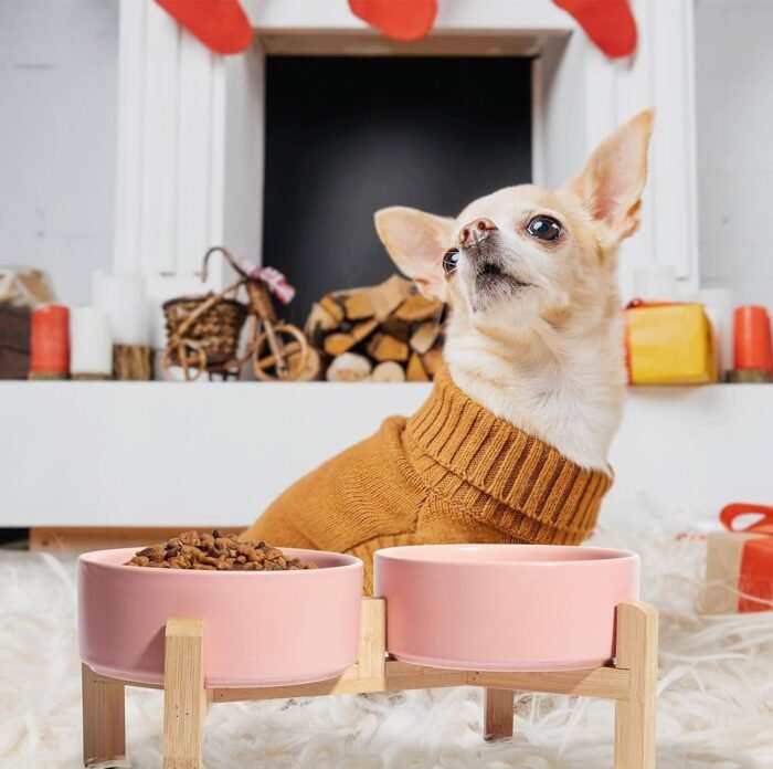 Plato doble cerámica P