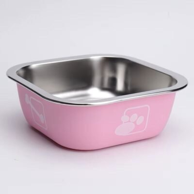 Plato con base antideslizante