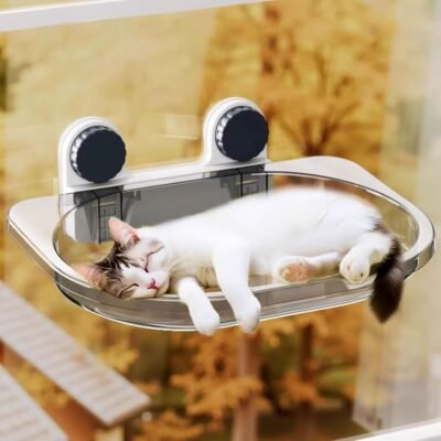 Cama Ventana Acrílica para Gatos