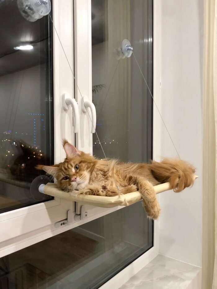 Cama Ventana Colgante para Gatos